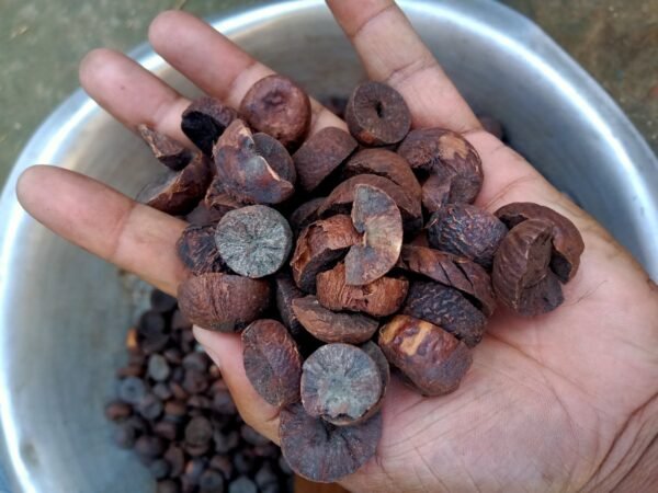 Betal Nuts